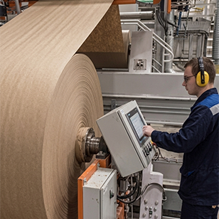about wood pulp